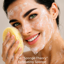 The Sponge Theory Organic Cleansing Sponge + Lymphatic Drainage Pads